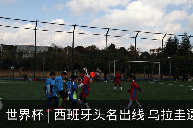 世界杯 | 西班牙头名出线 乌拉圭遭淘汰