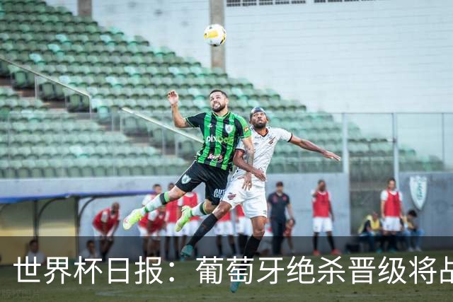 世界杯日报：葡萄牙绝杀晋级将战西班牙 德国队主帅或将下课