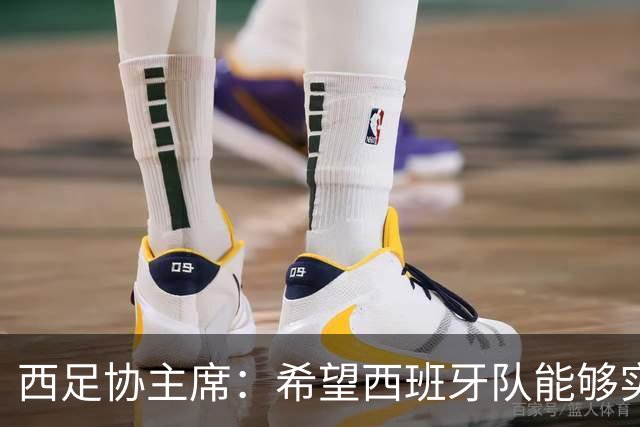 西足协主席：希望西班牙队能够实现夺冠的目标，但必须一步一步来